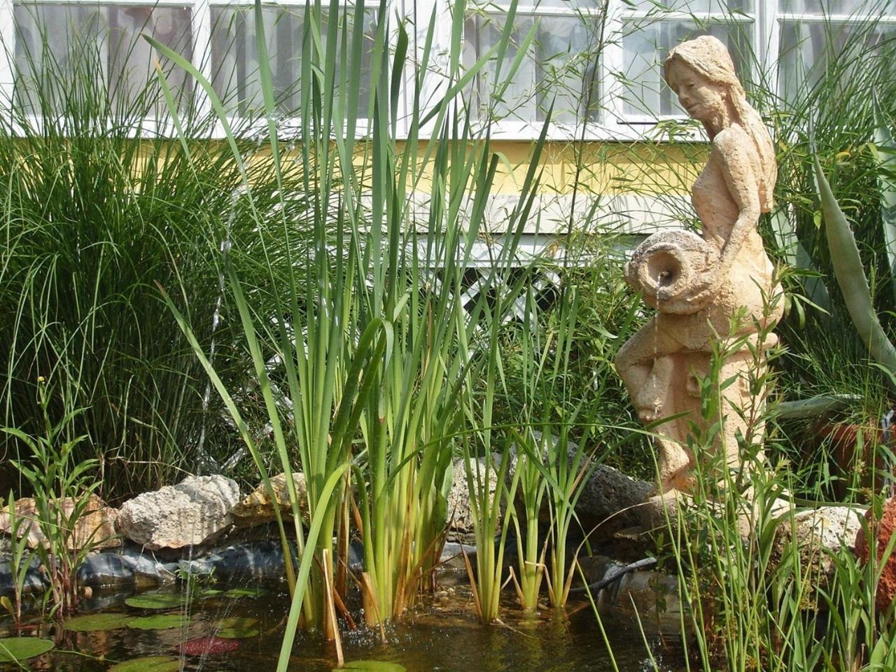 Castello Vendeg Es Apartmanhaz Έγκερ Εξωτερικό φωτογραφία