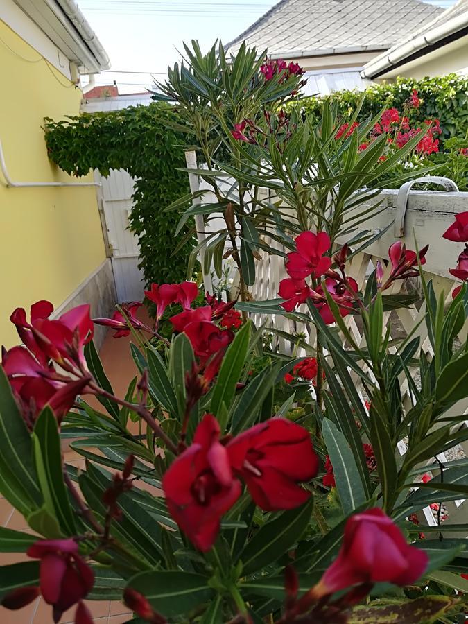 Castello Vendeg Es Apartmanhaz Έγκερ Εξωτερικό φωτογραφία